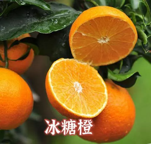 图片 49.png