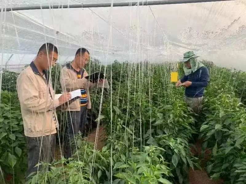 微信图片_20220816105416.jpg