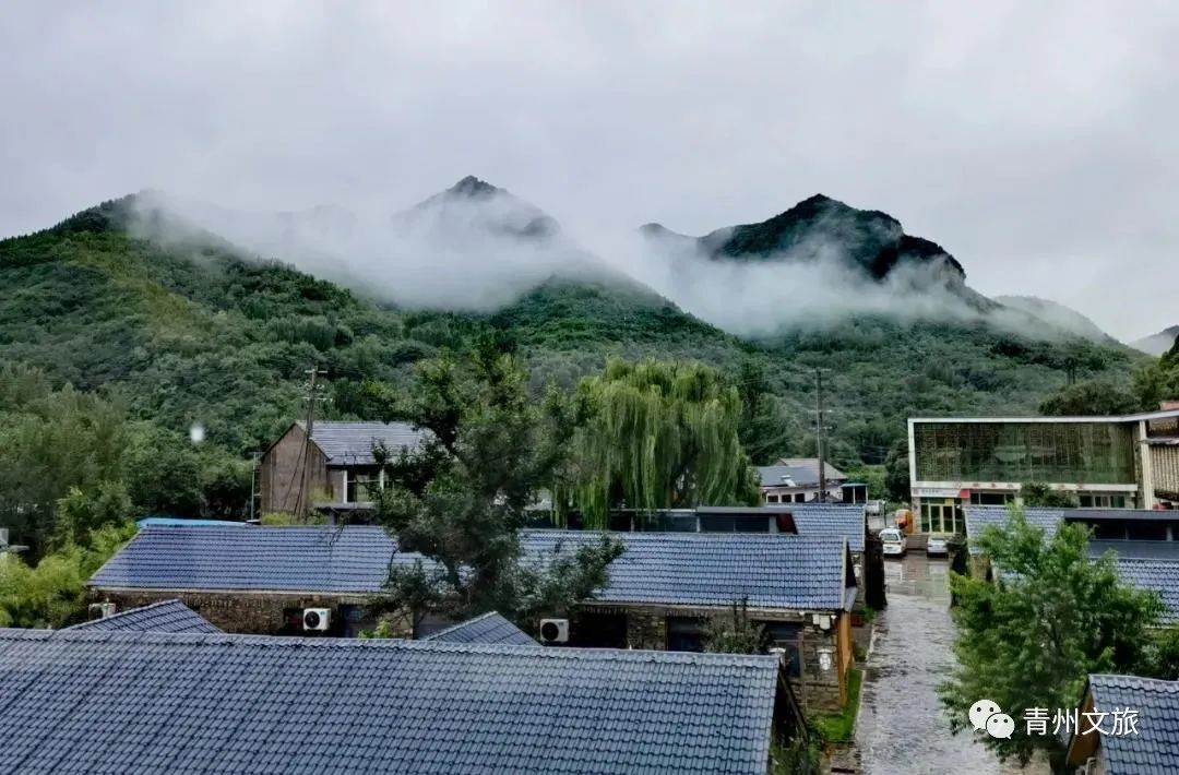 微信图片_20220816143006.jpg